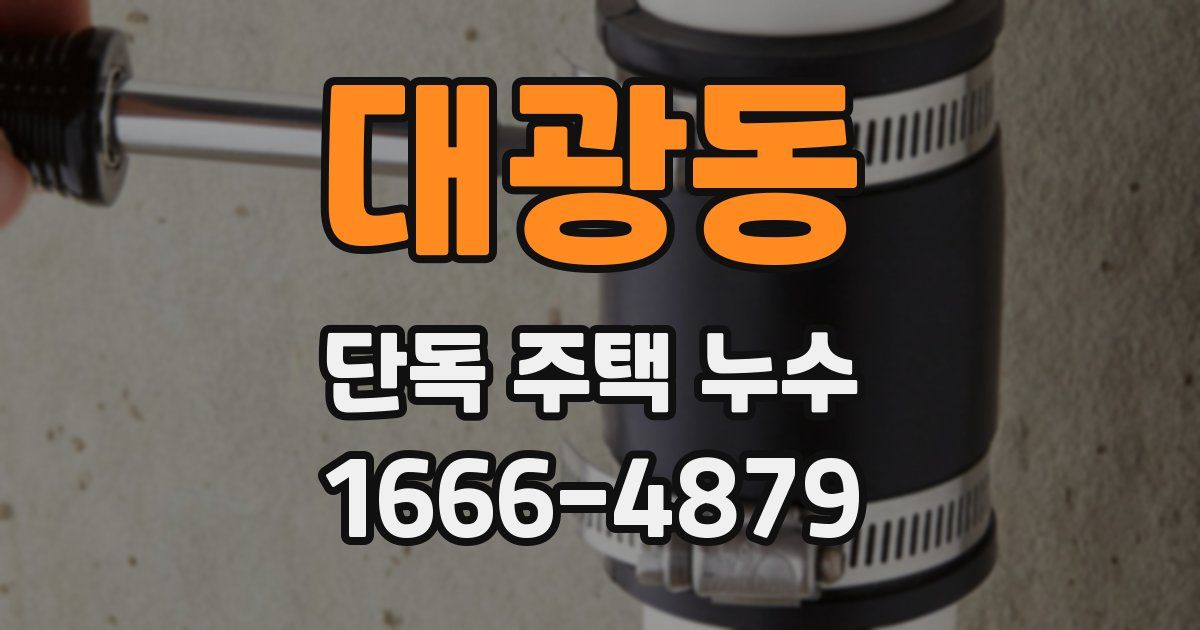 대광동 단독 주택 누수