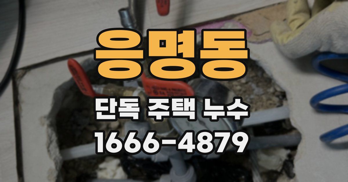 응명동 단독 주택 누수