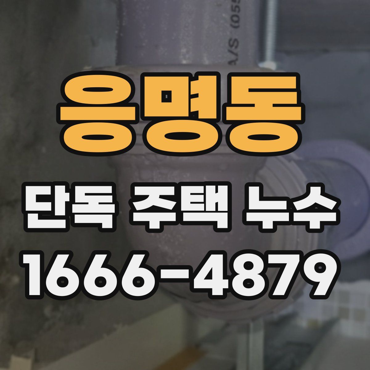 응명동 단독 주택 누수