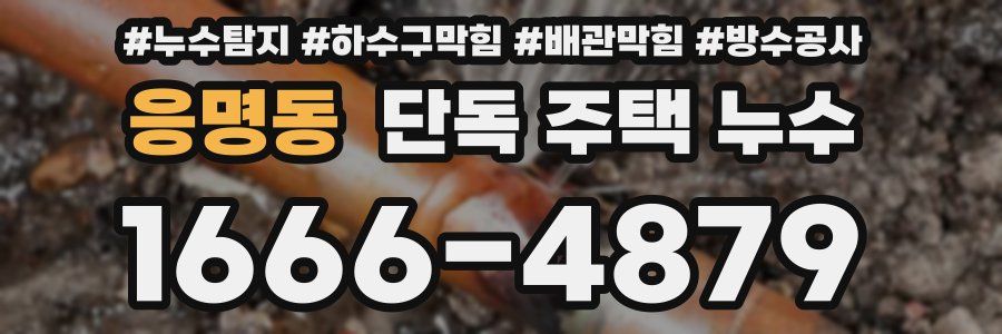 응명동 단독 주택 누수
