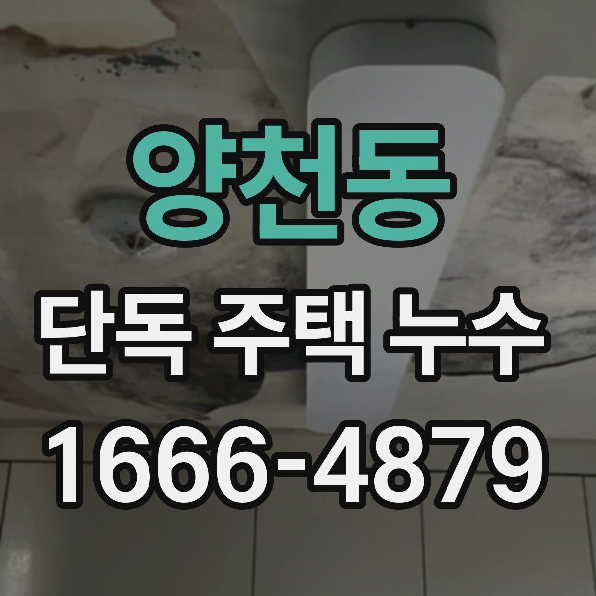 양천동 단독 주택 누수 후 마감재 손상 확인법
