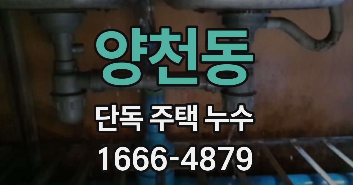 양천동 단독 주택 누수