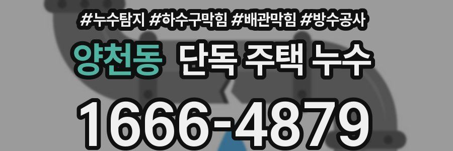 양천동 단독 주택 누수