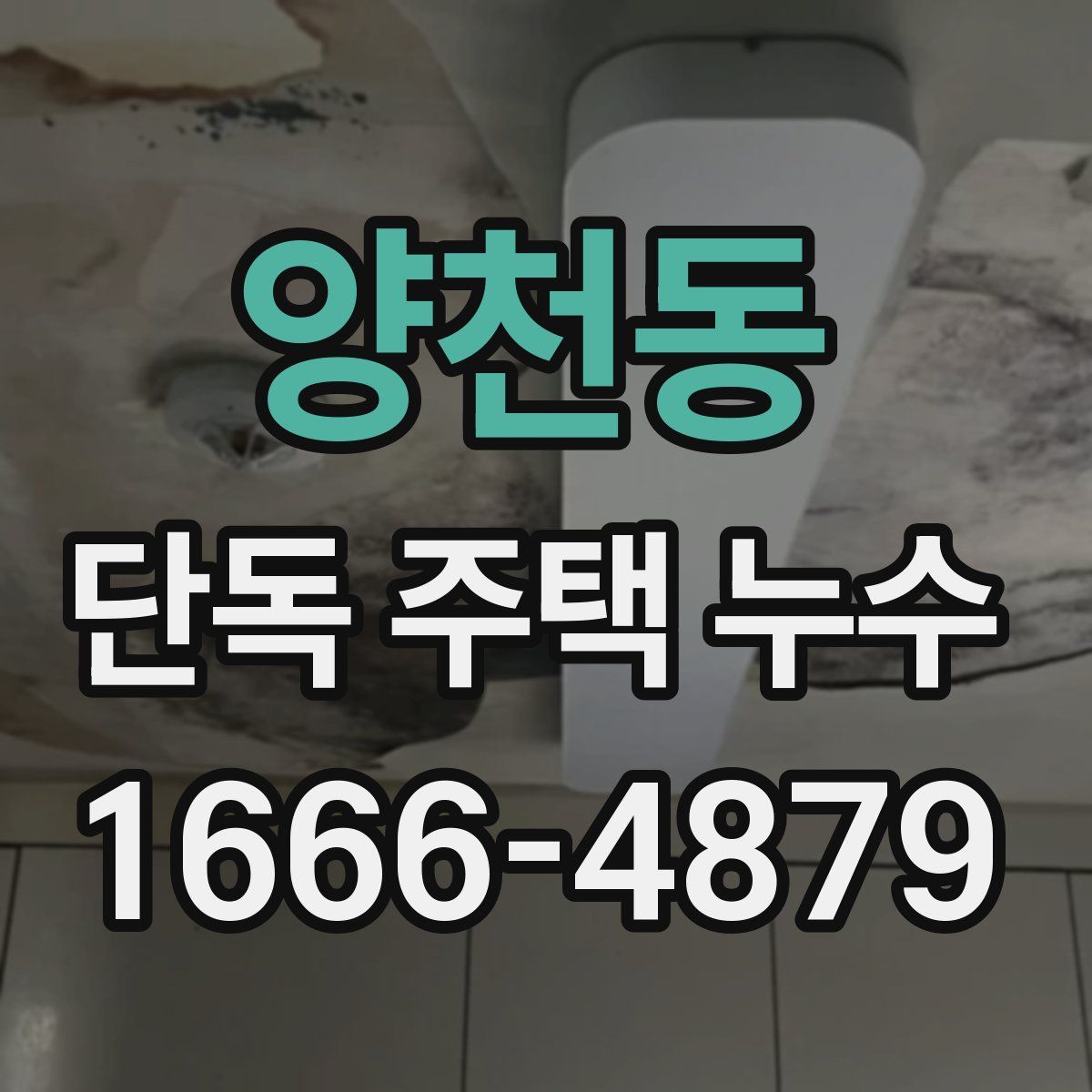 양천동 단독 주택 누수