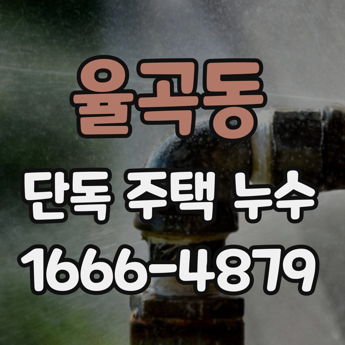 율곡동 단독 주택 누수