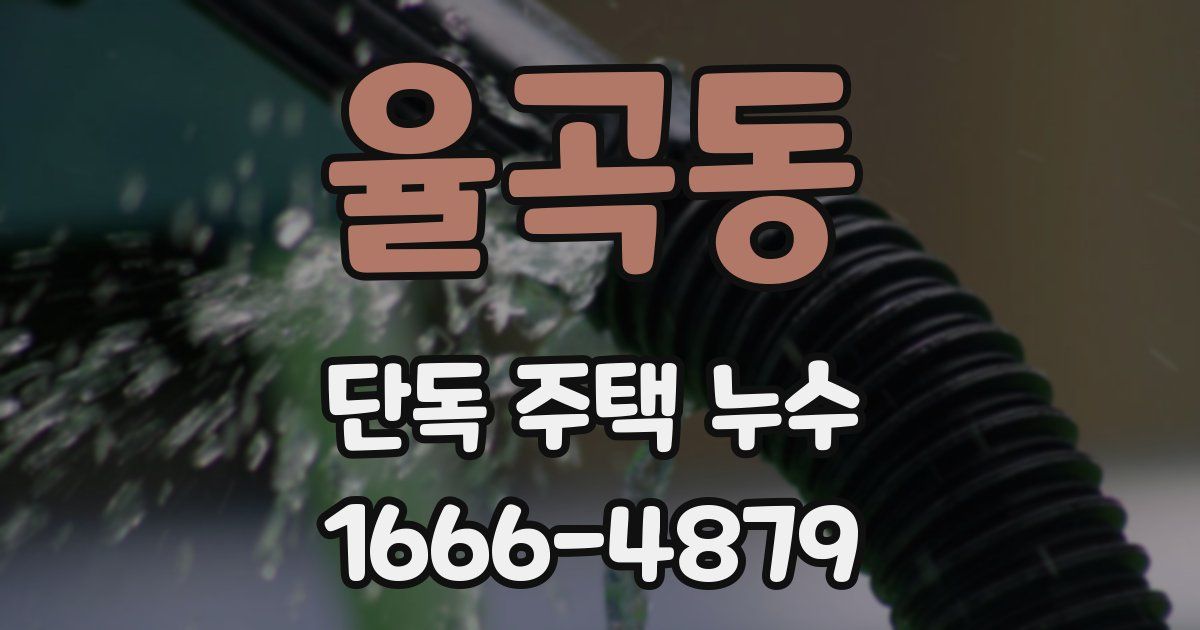 율곡동 단독 주택 누수