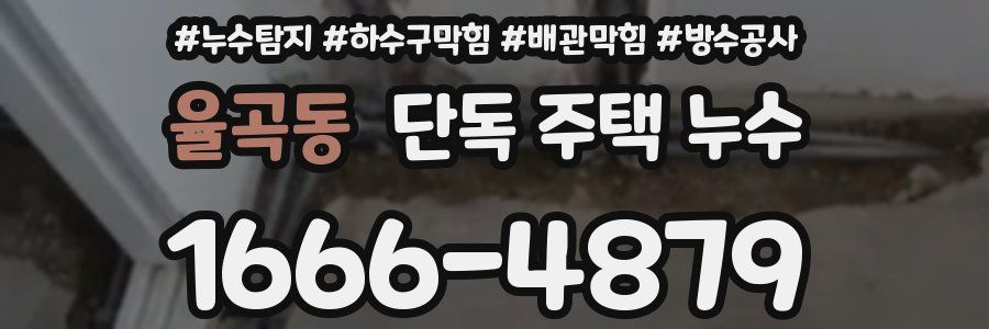 율곡동 단독 주택 누수