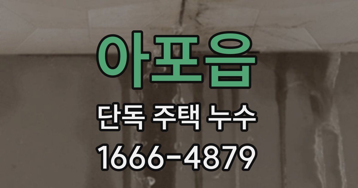 아포읍 단독 주택 누수