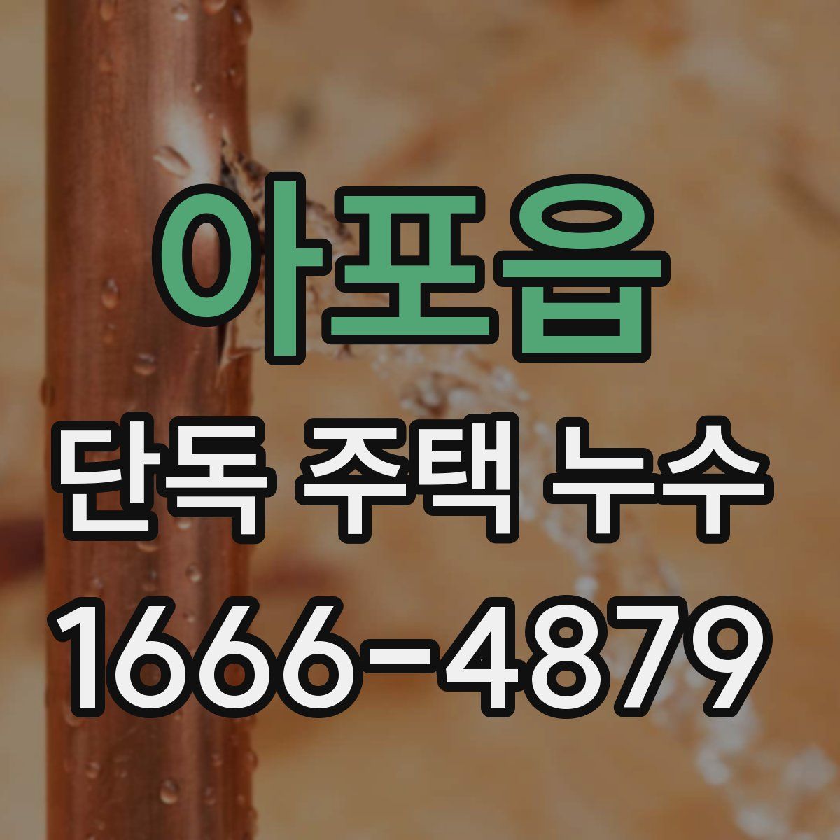 아포읍 단독 주택 누수