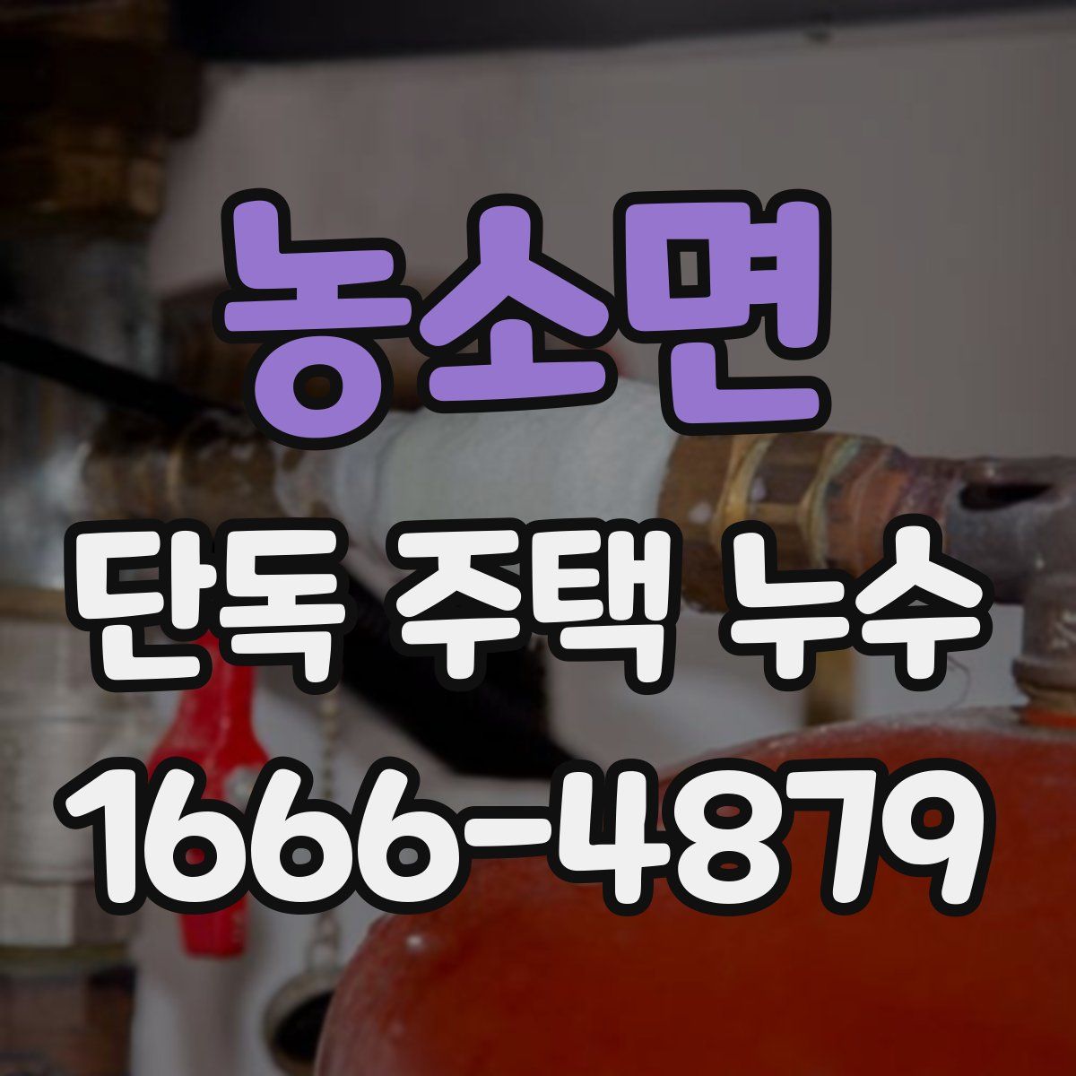 농소면 단독 주택 누수