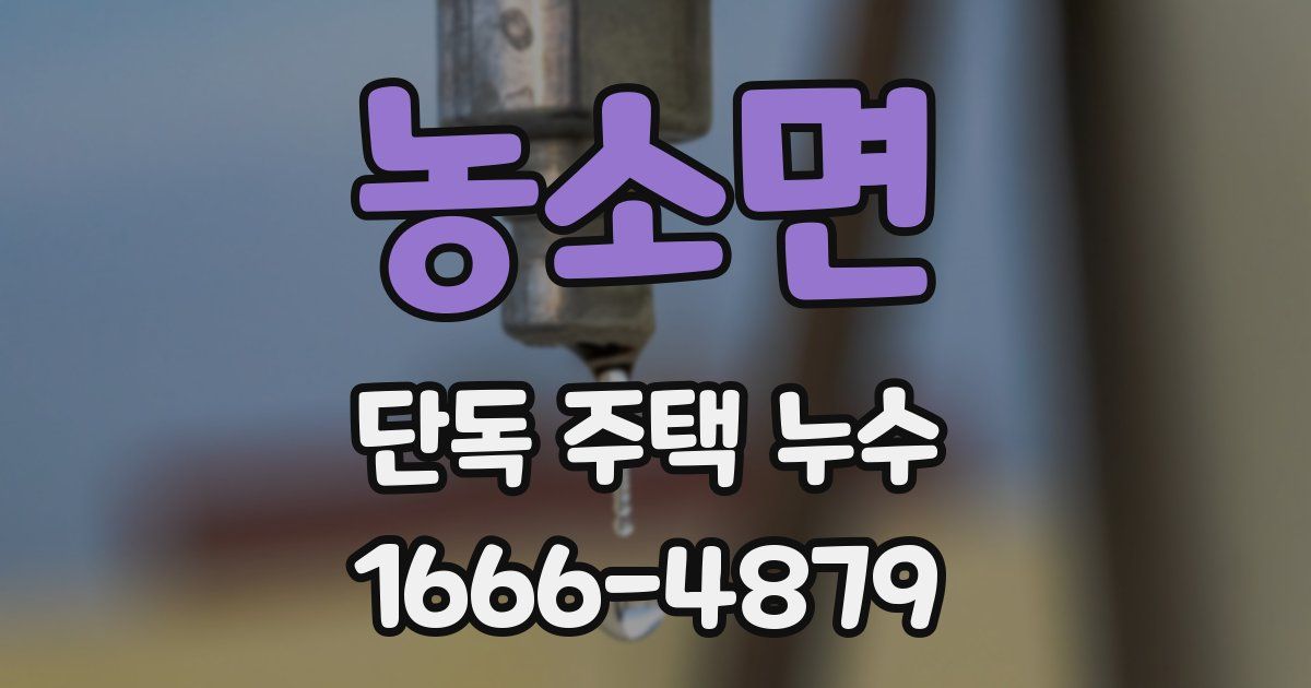 농소면 단독 주택 누수