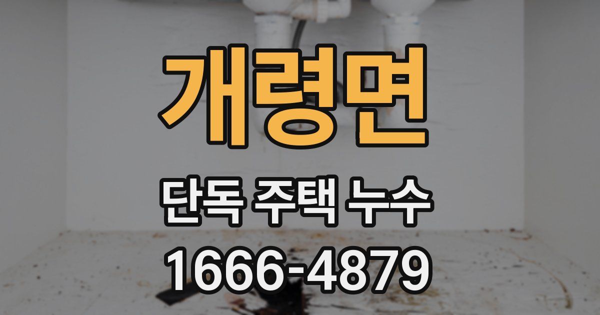 개령면 단독 주택 누수