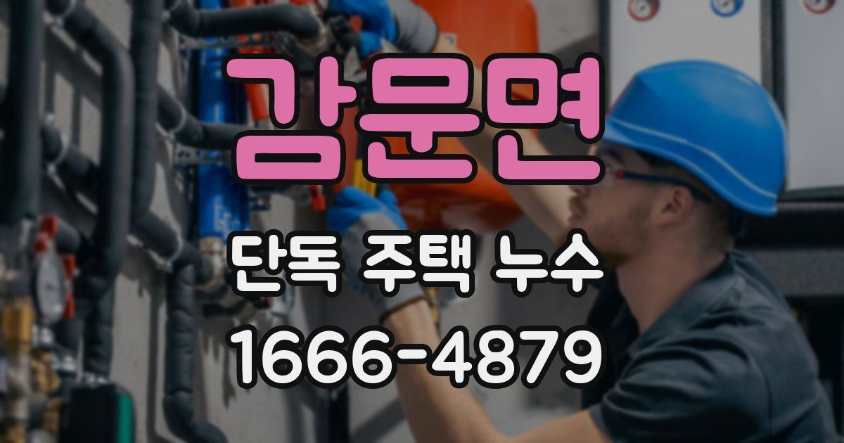 감문면 단독 주택 누수