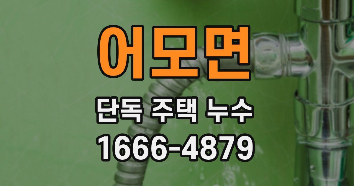 어모면 단독 주택 누수