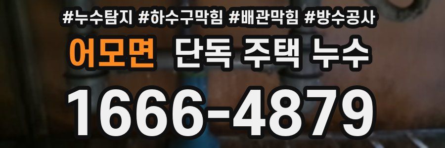 어모면 단독 주택 누수