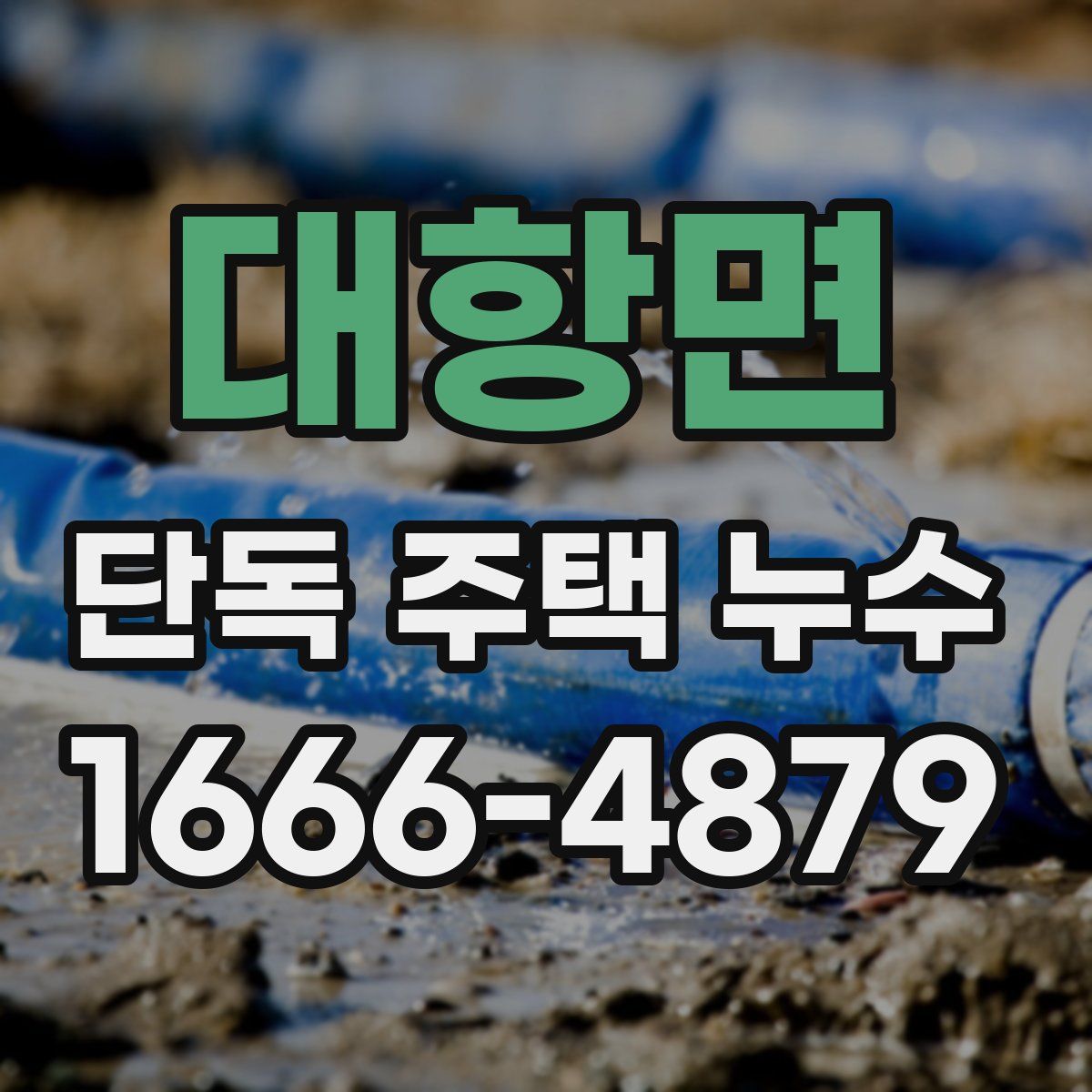 대항면 단독 주택 누수
