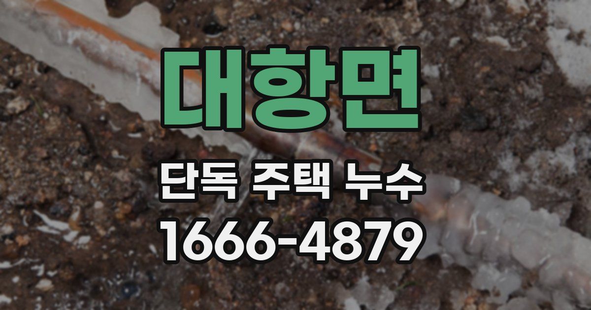 대항면 단독 주택 누수