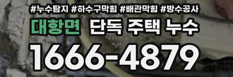 대항면 단독 주택 누수