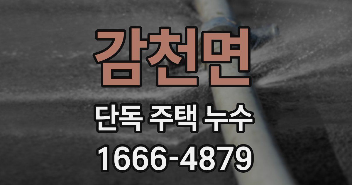 감천면 단독 주택 누수