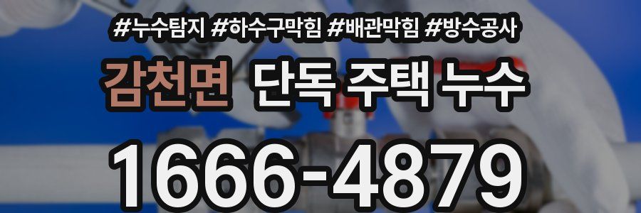 감천면 단독 주택 누수