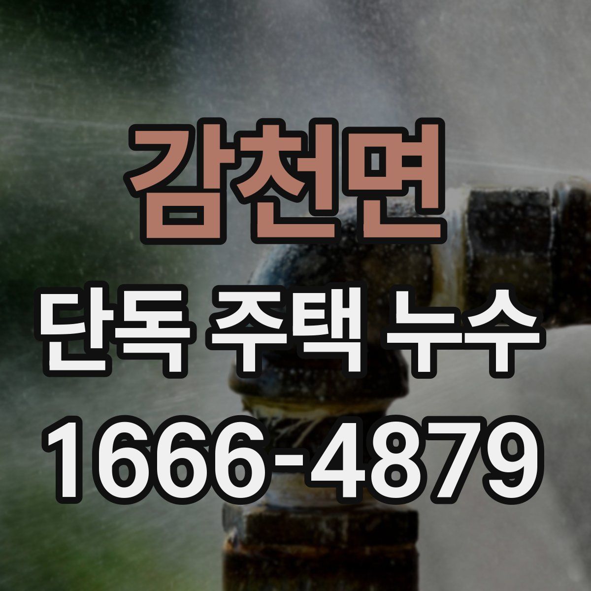 감천면 단독 주택 누수
