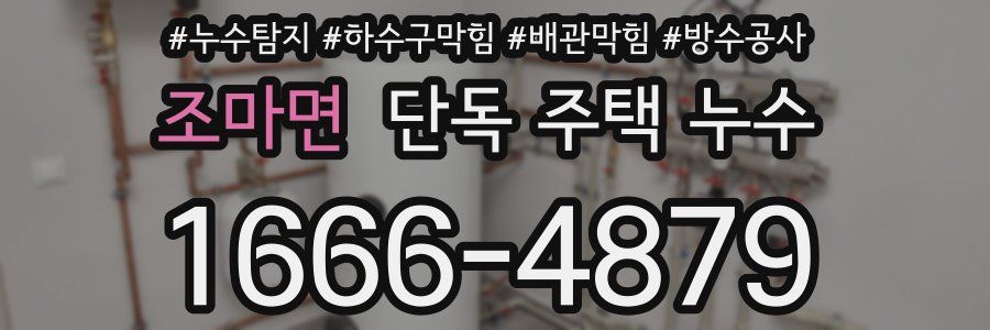 조마면 단독 주택 누수