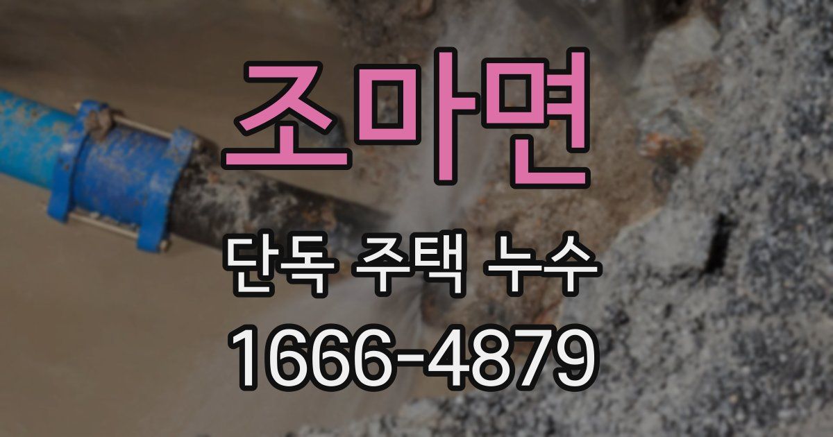 조마면 단독 주택 누수