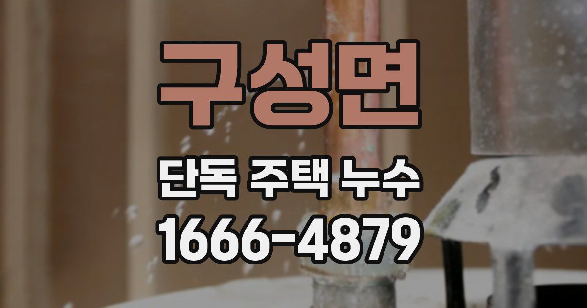 구성면 단독 주택 누수