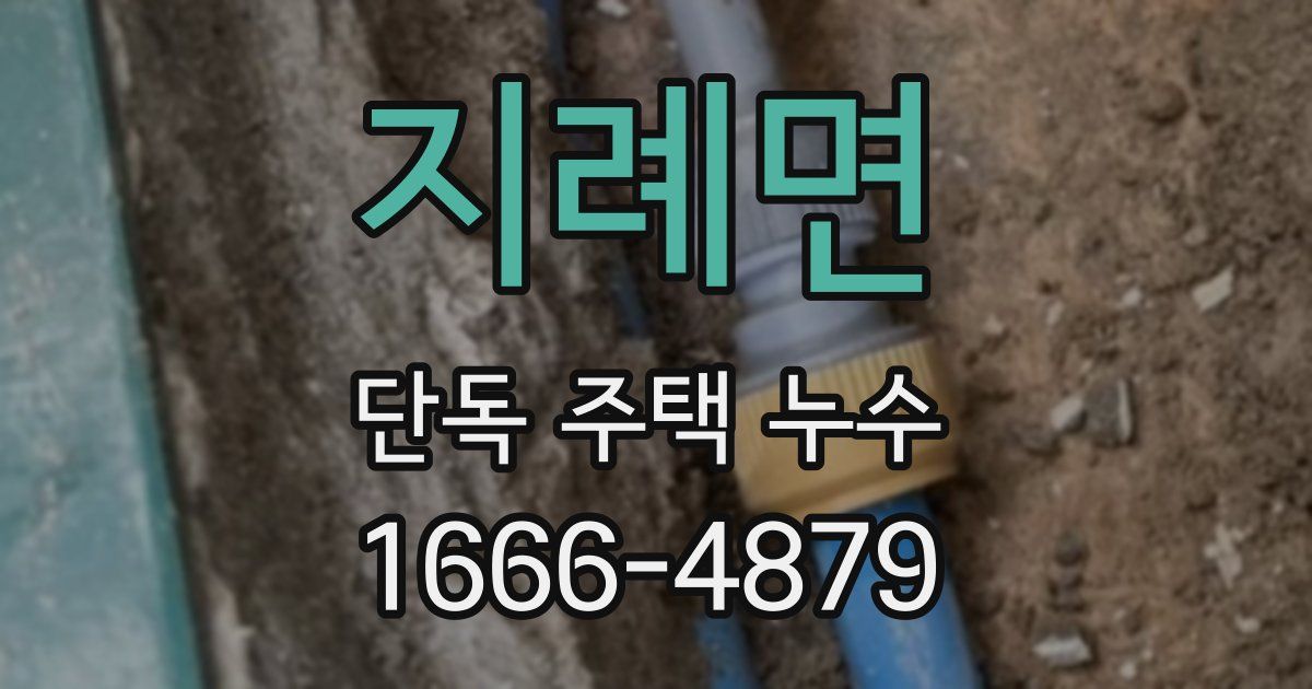 지례면 단독 주택 누수