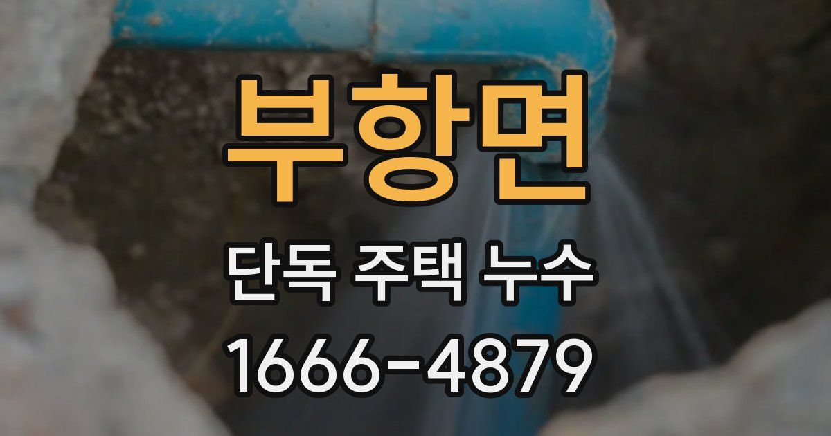 부항면 단독 주택 누수