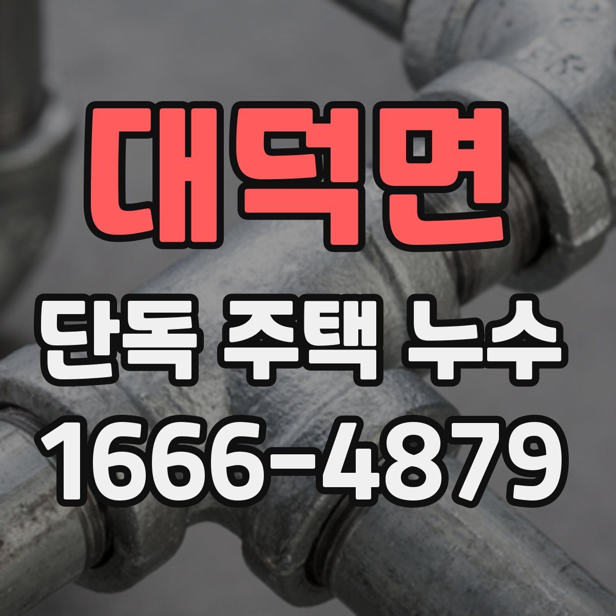 대덕면 단독 주택 누수
