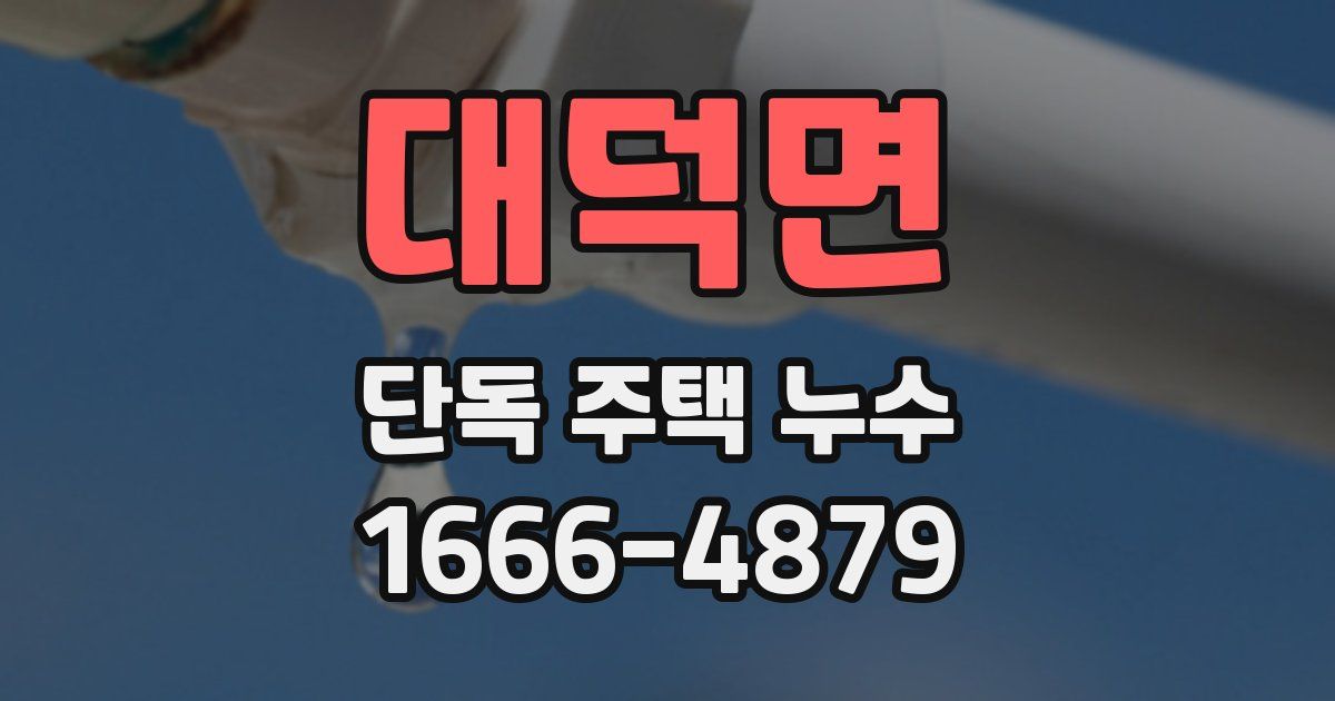 대덕면 단독 주택 누수