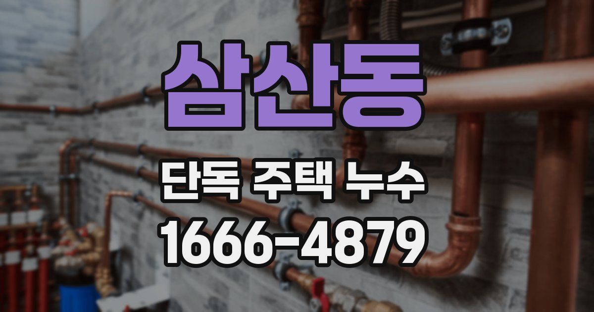삼산동 단독 주택 누수