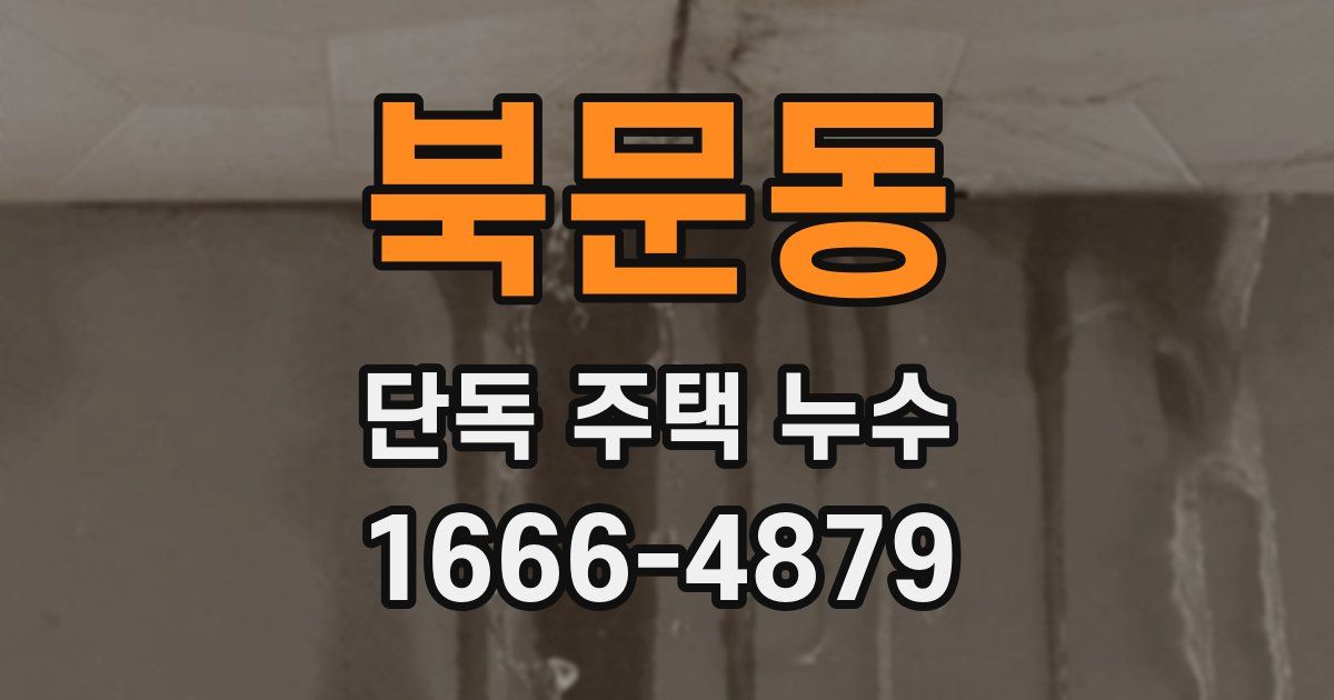 북문동 단독 주택 누수