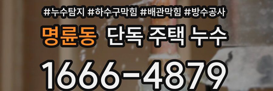 명륜동 단독 주택 누수