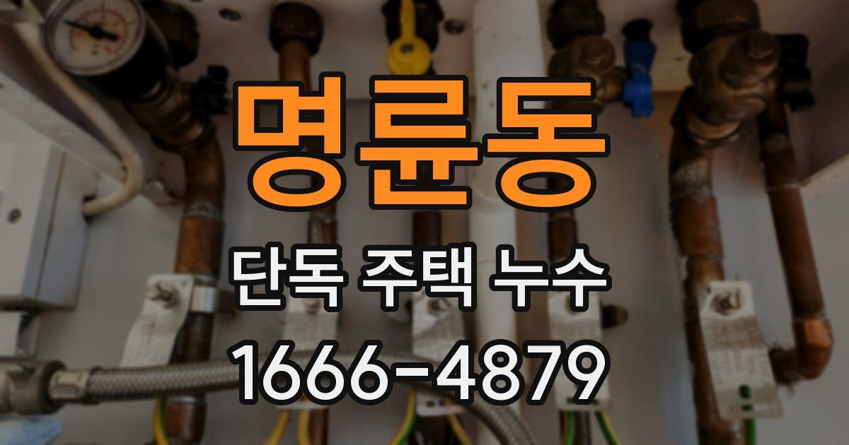 명륜동 단독 주택 누수