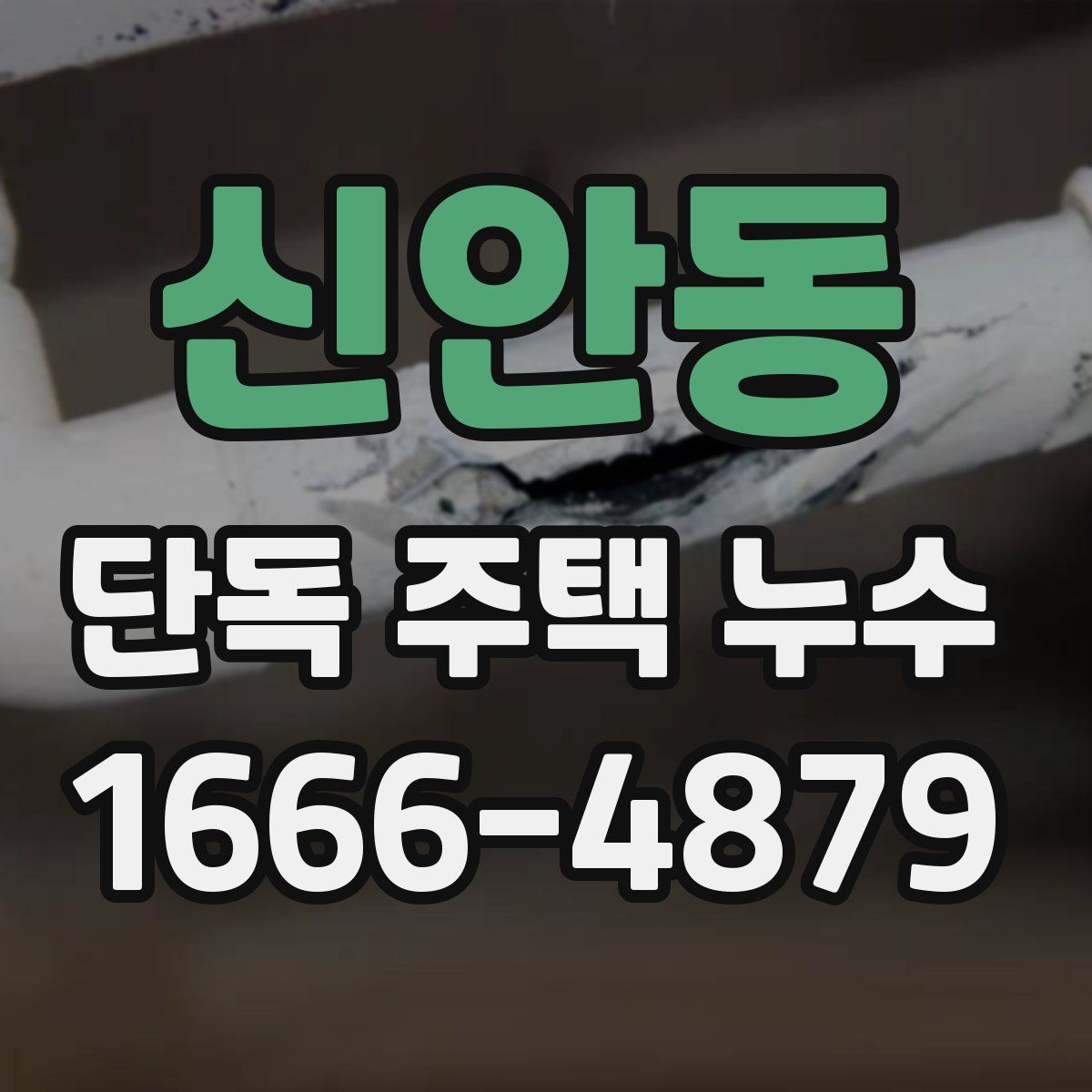 신안동 단독 주택 누수