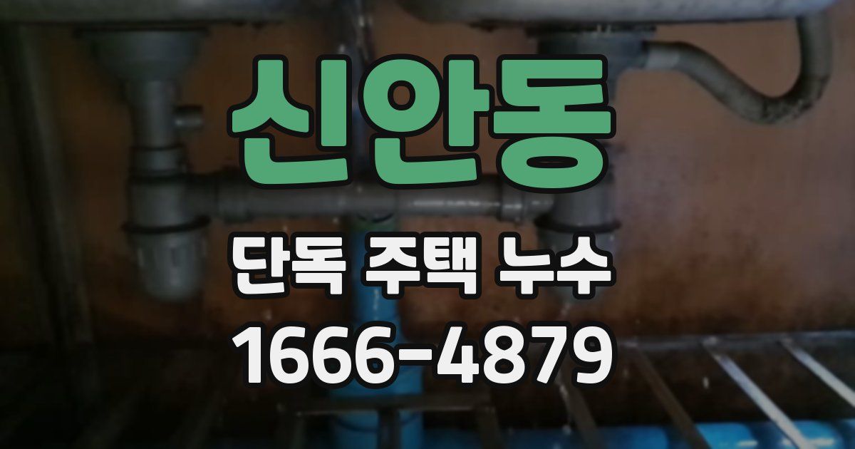 신안동 단독 주택 누수