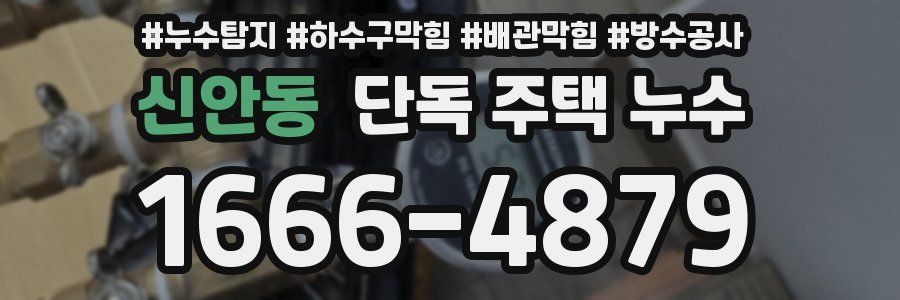 신안동 단독 주택 누수