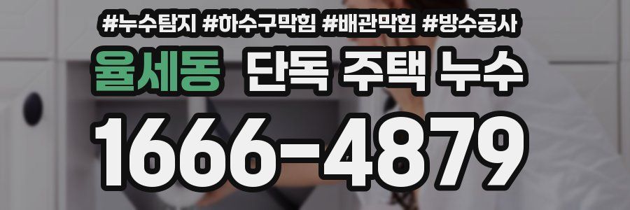 율세동 단독 주택 누수