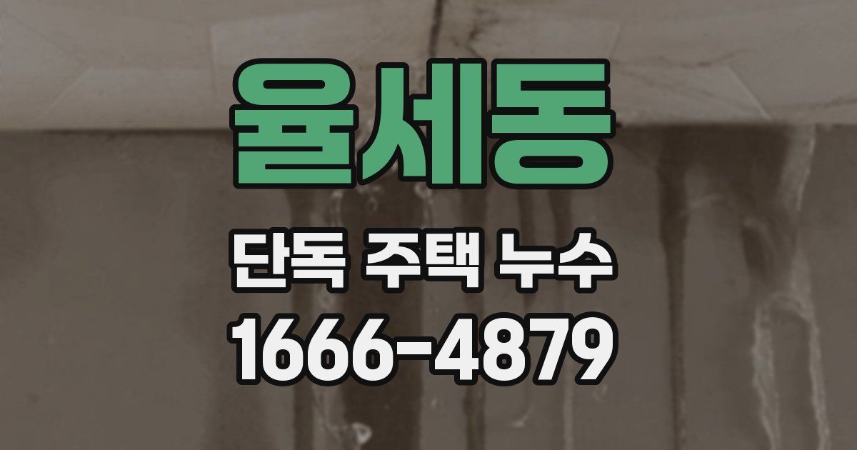 율세동 단독 주택 누수