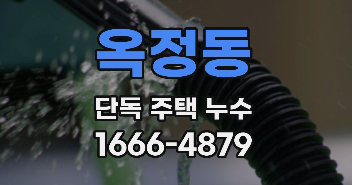 옥정동 단독 주택 누수