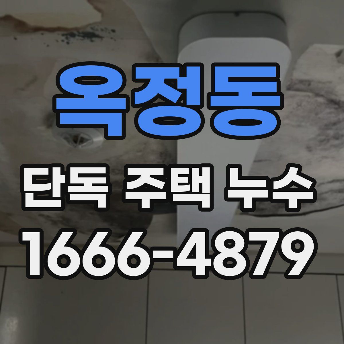 옥정동 단독 주택 누수