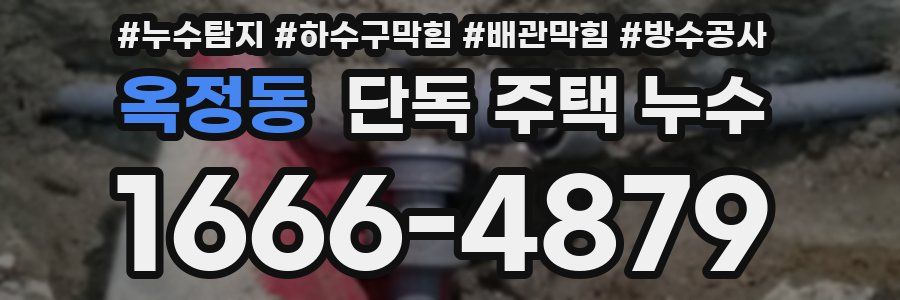 옥정동 단독 주택 누수