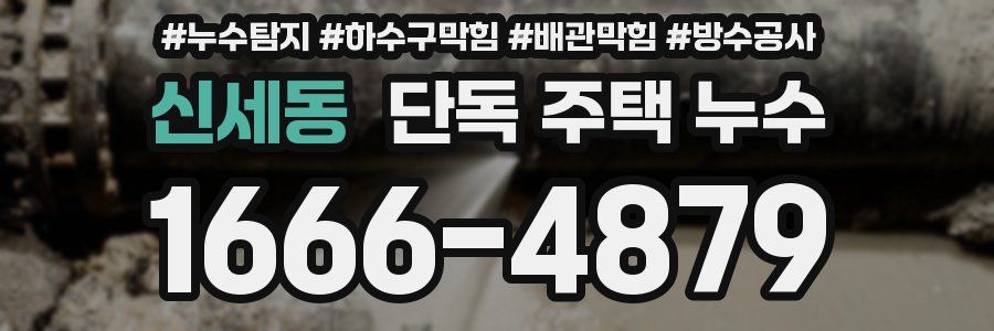 신세동 단독 주택 누수
