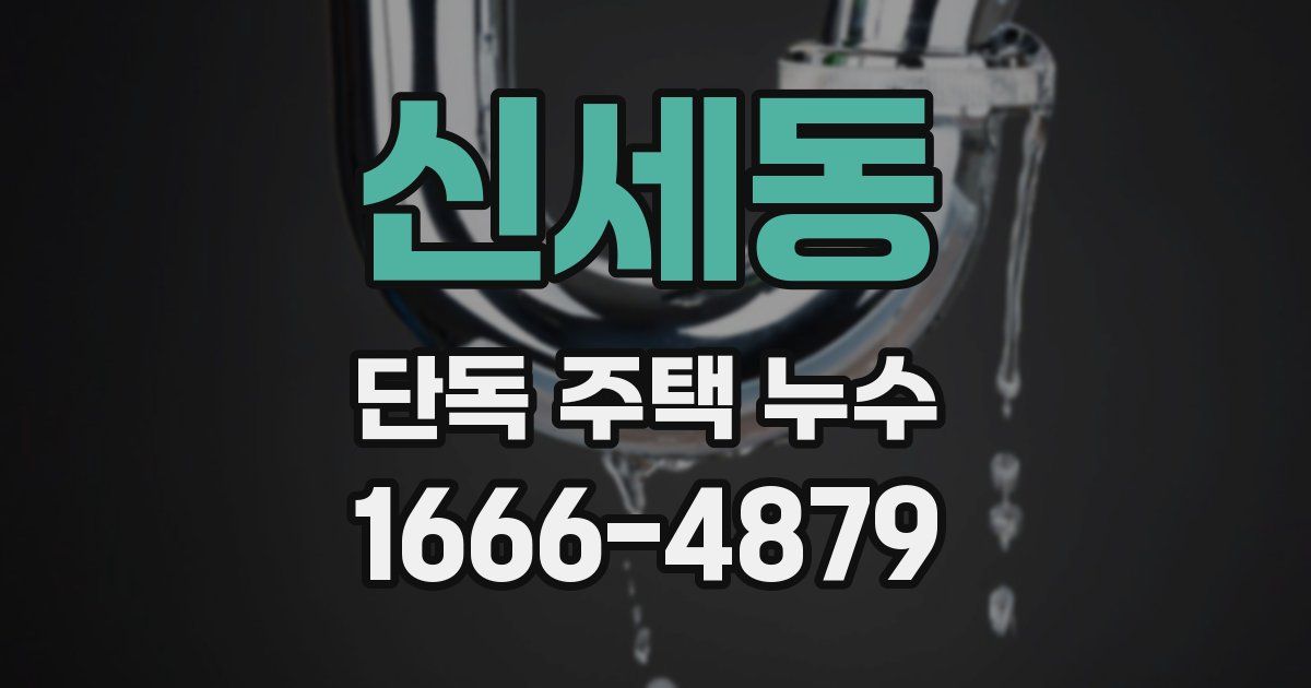 신세동 단독 주택 누수