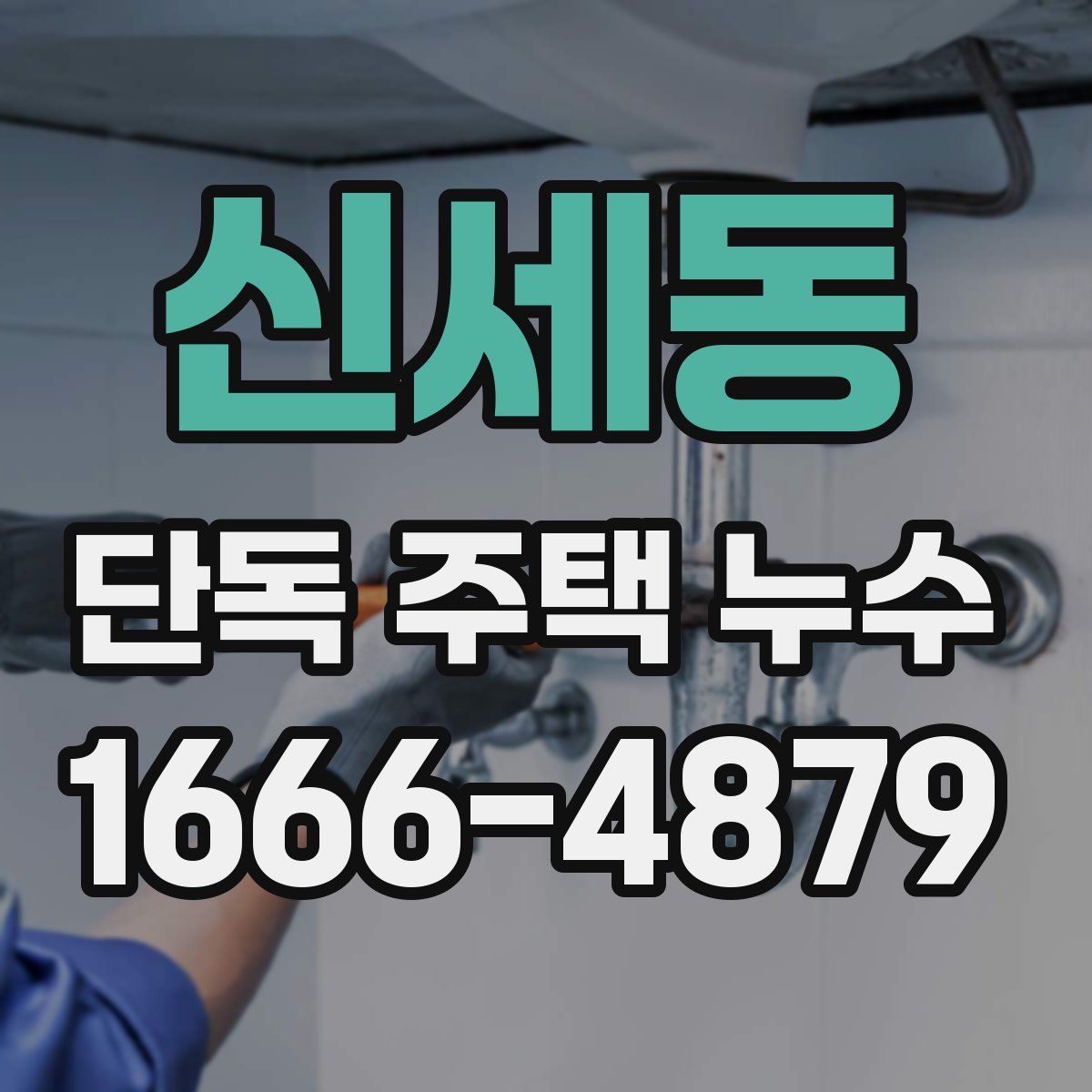 신세동 단독 주택 누수