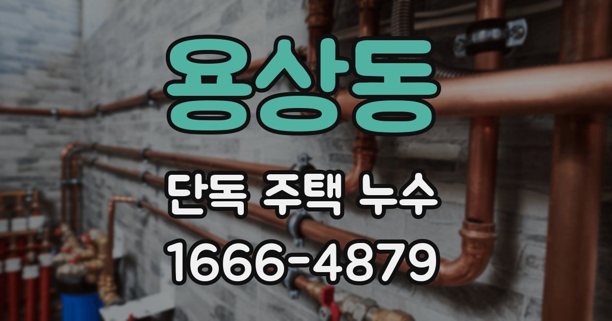 용상동 단독 주택 누수