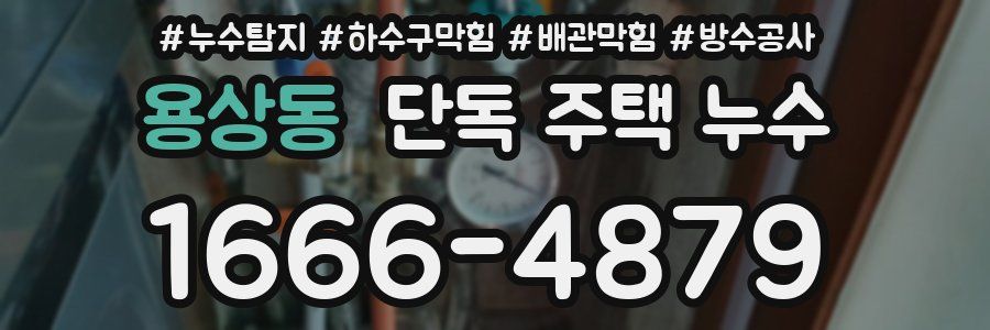 용상동 단독 주택 누수