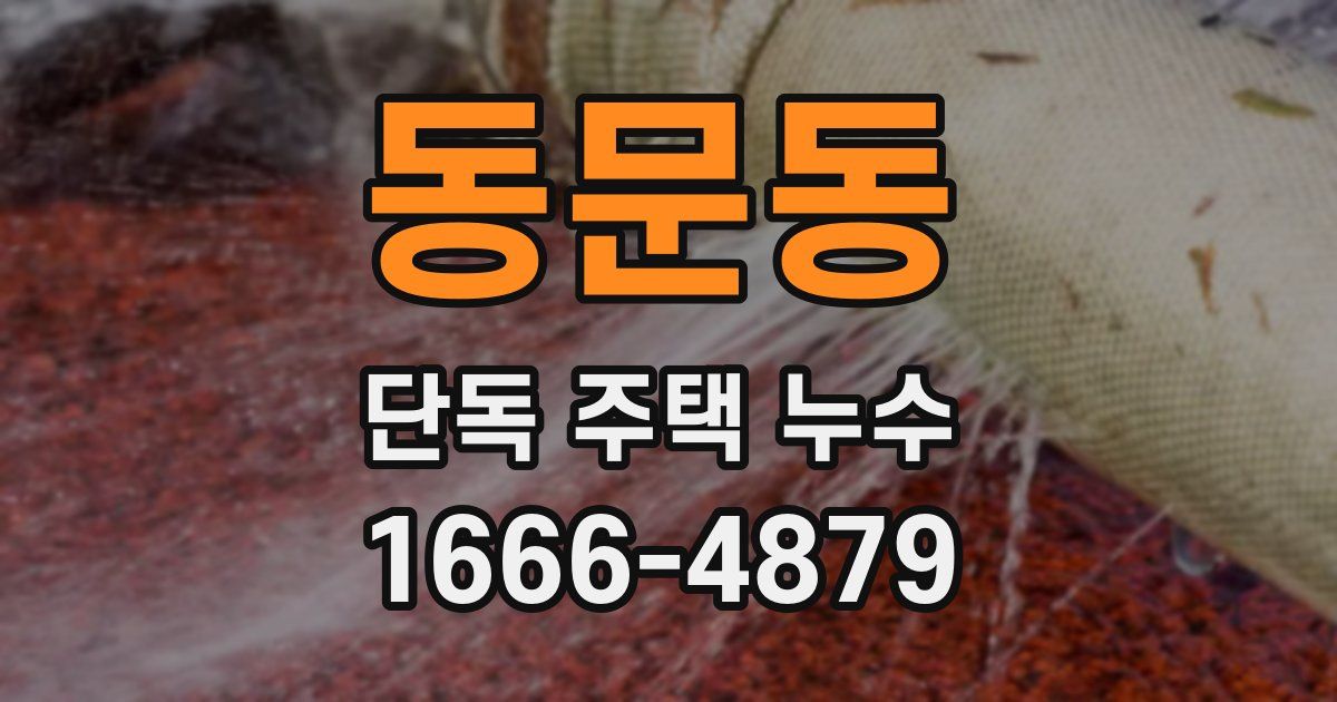 동문동 단독 주택 누수